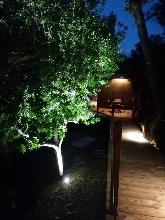 Quinta Mata Da Se Hotel Miranda do Corvo Buitenkant foto
