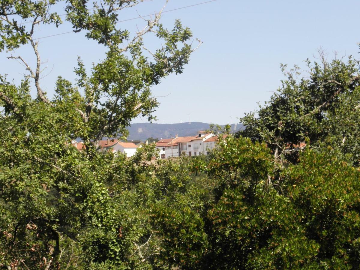 Quinta Mata Da Se Hotel Miranda do Corvo Buitenkant foto